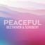 Album cover for Peaceful Beethoven & Schubert