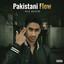 Album cover for Pakistani Flow